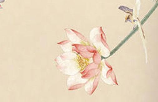 屬猴和屬狗婚姻 屬猴和屬狗婚姻如何化解 屬猴和屬狗婚姻 屬猴和屬狗婚姻如何化解