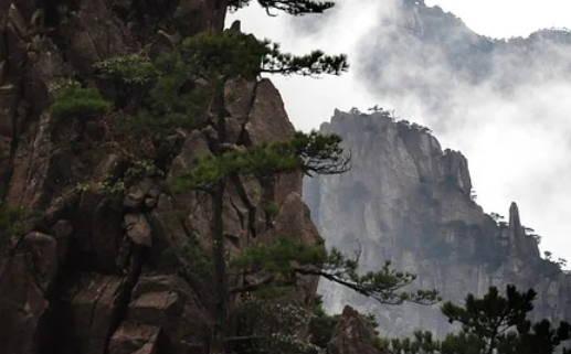 走路可以賺錢嗎 走路怎么賺錢呀 走路可以賺錢嗎 走路怎么賺錢呀