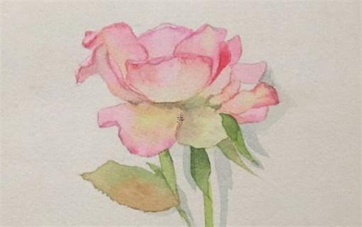 2024年一年有多少天 2024年是百年難遇的一年嗎 2024年一年有多少天 2024年是百年難遇的一年嗎