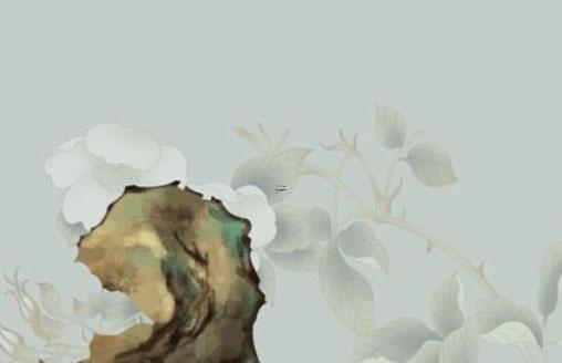 易經擇時什么意思 易經擇吉日 易經擇時什么意思 易經擇吉日