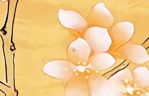 屬龍的女和屬虎的男合不合,屬龍女和屬虎男相配嗎三觀不合 屬龍的女和屬虎的男合不合,屬龍女和屬虎男相配嗎三觀不合