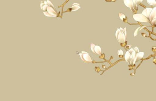 金牛座星盤查詢免費 2021金牛座星盤分析 金牛座星盤查詢免費 2021金牛座星盤分析