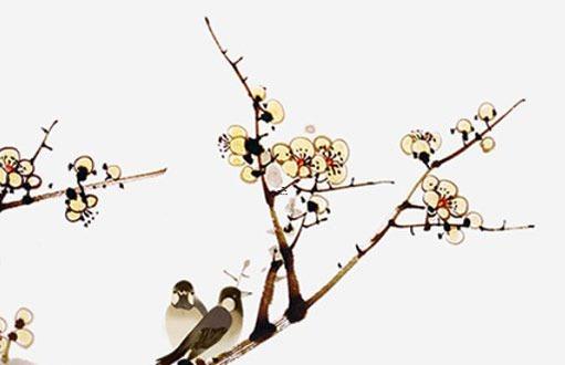 最適合生肖鼠的名字大全 鼠生肖取名字大全大忌 最適合生肖鼠的名字大全 鼠生肖取名字大全大忌