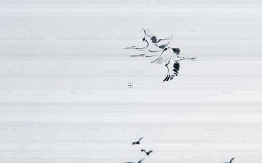 90年屬馬的三大坎 2023年屬馬有兩喜纏身 90年屬馬的三大坎 2023年屬馬有兩喜纏身