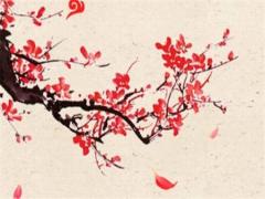 注定會(huì)離婚的女命八字 必定離婚的八字