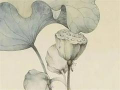 誰知道保險行業在五行的金、 保險行業在五行中屬什么