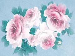 2022年1月14日新生女寶寶取名 獨特好聽女寶寶名字