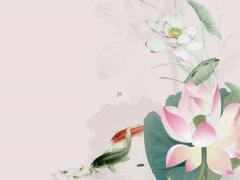 八字看自己什么轉(zhuǎn)世,看自己的前世是什么意思