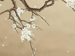 相親平臺找對象靠譜嗎 相親平臺是真的嗎