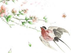 1996年2月14日生辰八字 1996年2月14日出生