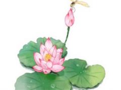 1977屬蛇人2023幸運色 1977屬蛇2023年運勢