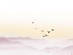 八字純陰女是神仙下凡,八字純陰女生是鳳凰命