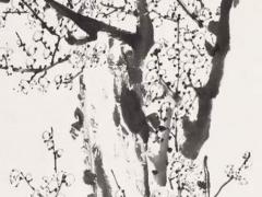 八字排盤寶,八字排盤寶怎么看里面內容