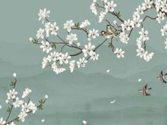 四柱八字傷官幾個算多 傷官多