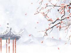 2024年出生的女孩是什么命 2024年女寶寶