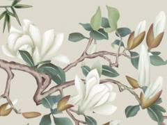 1978年屬馬的2024年運(yùn)勢如何 1978年屬馬2024年運(yùn)勢每月運(yùn)勢