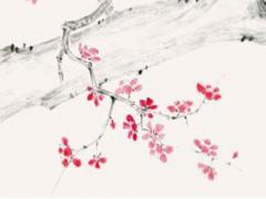 免費算命屬豬婚姻配對 算命豬年運氣