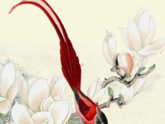 癸水命八字好不好批 癸水命好嗎