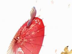 細(xì)說:什么是狼心狗肺痣 狼心狗肺痣真的不好嗎