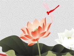 2024還是2024適合結婚 2024年的龍是百年難遇