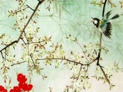 屬猴的終身戴什么銀吊墜最好 屬猴一生佩戴什么吊墜