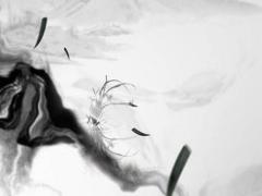 結婚多少年怎么算 結婚幾年從什么時候開始算