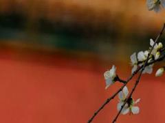 八字看配偶是本地還是外地的 八字看配偶所在地