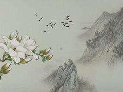 63年兔人晚年命運 63年兔一生有什么劫難