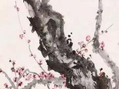 如果八字財位在西南意思是 財運在西南方位該怎樣做好