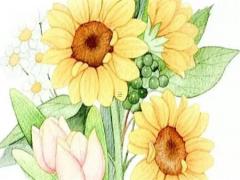 ***詩歌風格特點八字 ***詩歌風格的特點