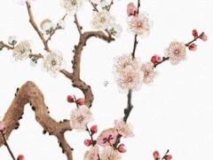 為寶寶取名要考慮孩子的命理格局 請問 給寶寶取名字有什么講究