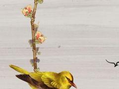 白羊男心疼射手女 白羊男執著射手女