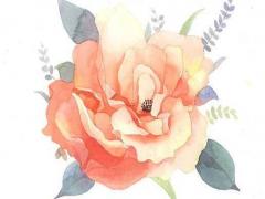 英文的網游名字 英文網游戲名