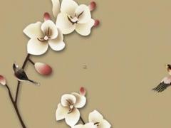 屬豬的適合找什么樣女友,屬豬的找什么樣的對象好