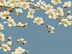 獅子女為什么這么特別呢 獅子女為什么讓人心疼