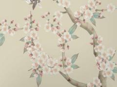 女孩子屬狗六月生好嗎 屬狗女孩六月出生好嗎