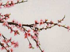 四柱算命精批八字易居 四柱算命精批八字算命