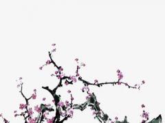 屬羊的哪個時辰出生更好命 屬羊哪個時辰出生富豪命