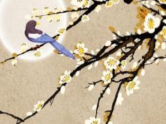 象在易經里的意思 易經里象是什么意思