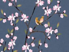 3月份的兔命運(yùn)如何 三月份屬兔命運(yùn)怎么樣