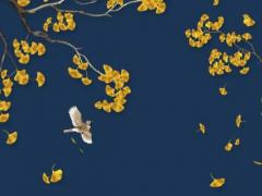 算命能算出是不是處么 算命的能算出有沒有***嗎