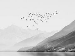 算命說的走比肩運是什么意思 走比肩大運方可得財什么意思