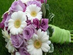 十二星座值得炫耀的閃光點有哪些?