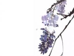 可字在易經(jīng)里的意思 可字的意思及五行