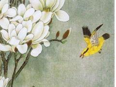 87年屬兔的一生桃花運怎樣 屬兔87年出生的今年有桃花運嗎?