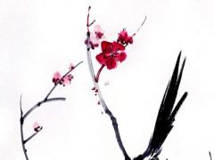 紅河河口到八字河 紅河河口汽車站