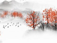 屬馬的桃花運(yùn)在哪個(gè)方位 屬馬的桃花運(yùn)怎么樣