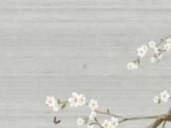 八字陰陽象法婚姻 算八字陰陽