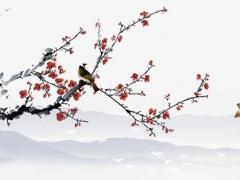 夫妻感情破裂傷心的話(huà) 夫妻感情破裂的短句