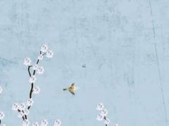 屬鼠最佳婚配屬相是什么 屬鼠的婚配屬相哪個最好